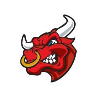 Karingle-Bulls-Football-Netball-Club